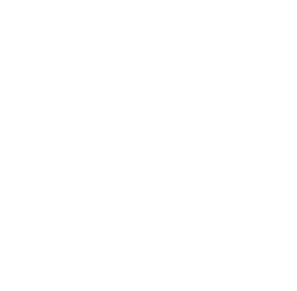 Разработка стратегии присутствия компании в Интернете